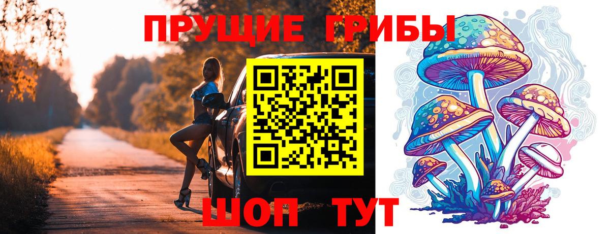 Гурьевск  Псилоцибиновые грибы Psilocybe  где найти   Вход с VPN 